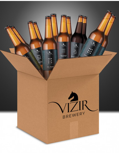 Corona paket VIZIR